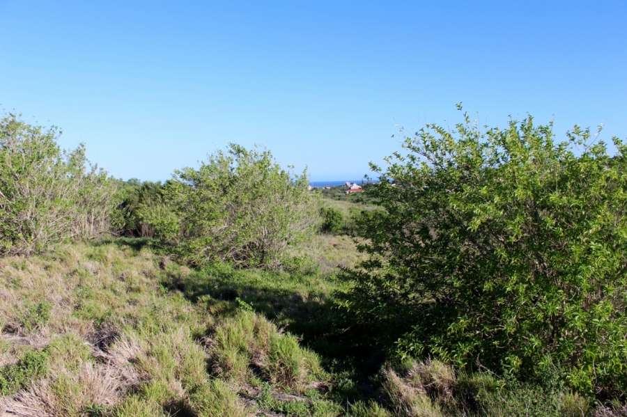 0 Bedroom Property for Sale in Forest Downs Eastern Cape